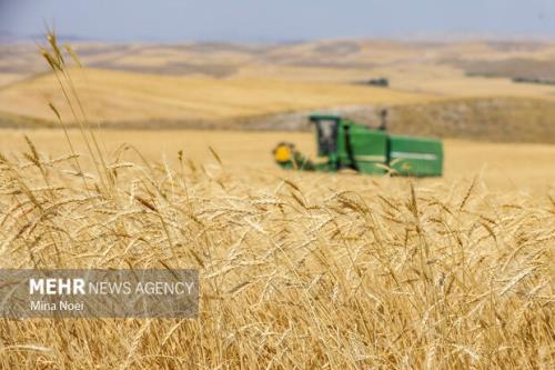 جلسه شورای قیمت گذاری کالاهای اساسی امروز تشکیل می شود