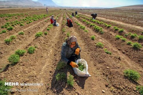 نهادهای دولتی بستر مشارکت مردم در تولید را فراهم می کنند